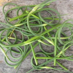 Garlic Scapes Two Ways
